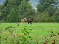 img_1939_small.jpg