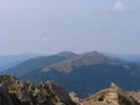 img_2049_small.jpg