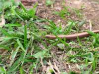 img_2072_small.jpg
