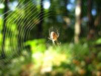 img_2122_small.jpg