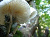 img_2134_small.jpg