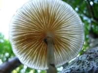 img_2137_small.jpg