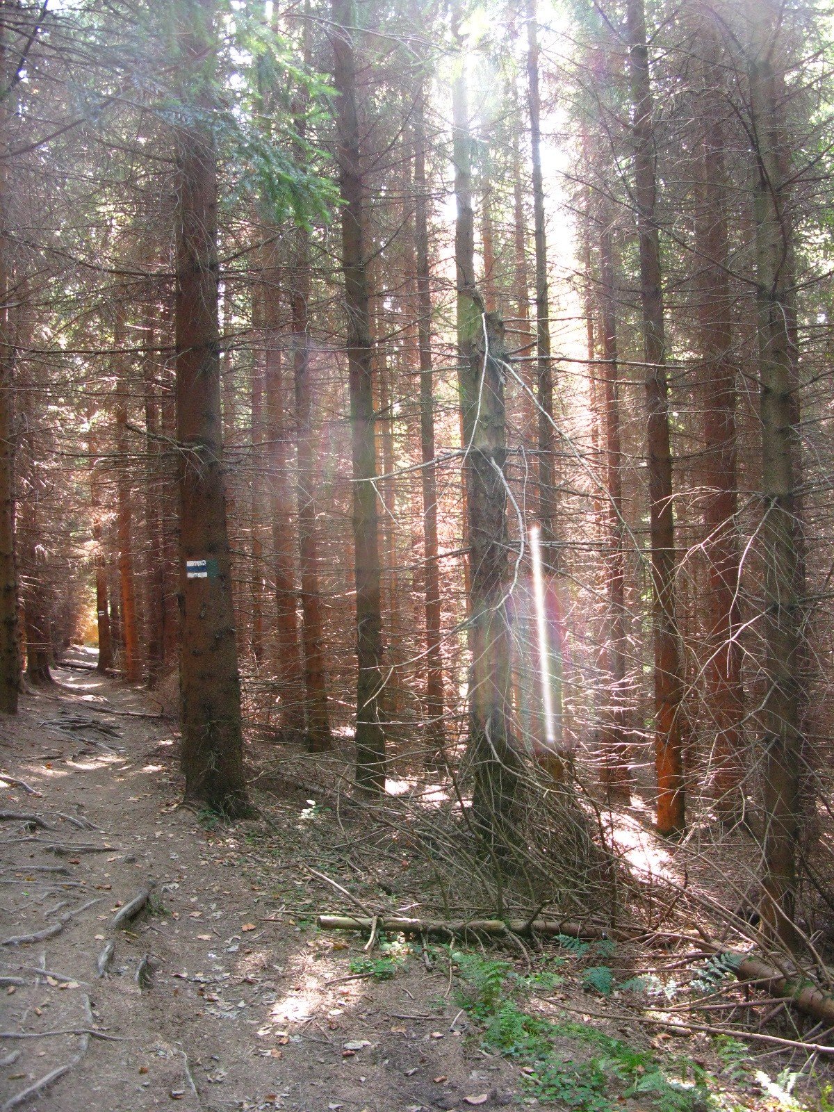 img_2141.jpg