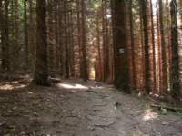 img_2148_small.jpg