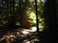 img_2150_small.jpg