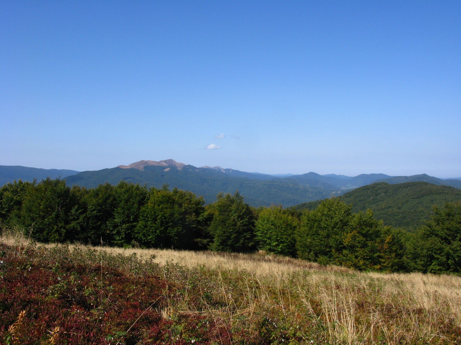 img_2161.jpg