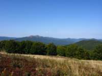 img_2161_small.jpg