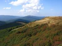 img_2194_small.jpg