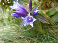 img_2241_small.jpg