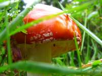 img_2292_small.jpg
