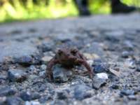 img_2362_small.jpg