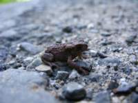 img_2363_small.jpg