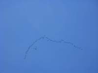 img_2365_small.jpg