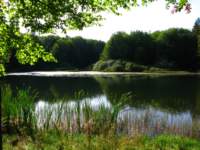 img_2406_small.jpg