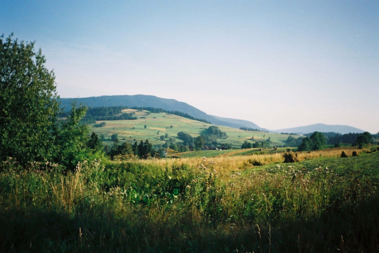 f1000005.jpg