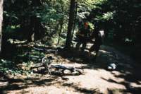 f1000013_small.jpg