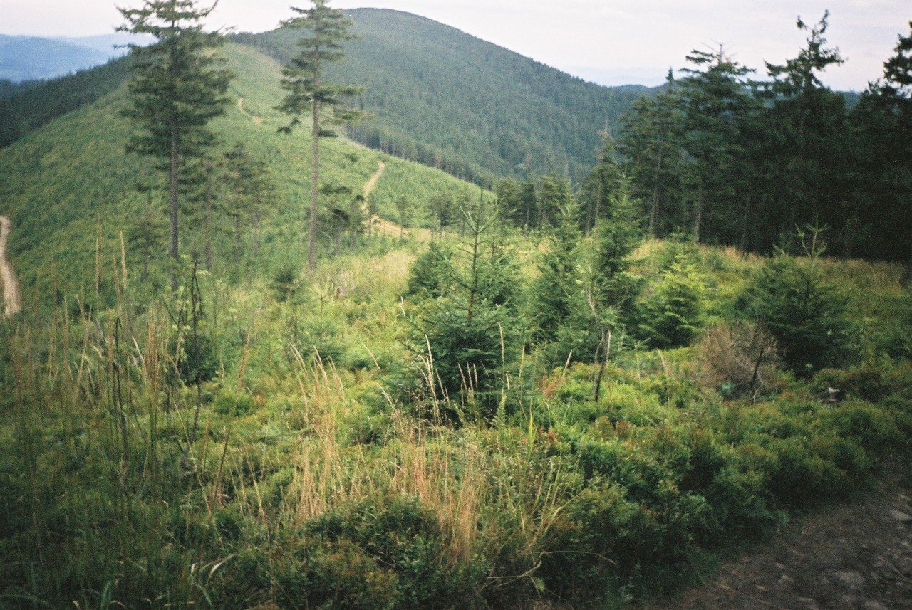 f1000019.jpg