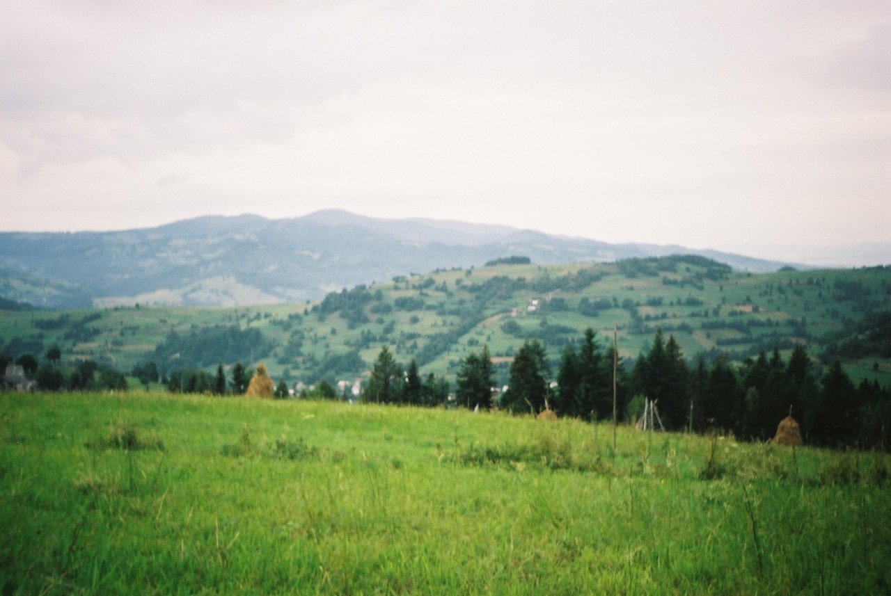 f1000026.jpg