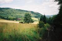 f1000035_small.jpg