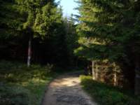 p1080185_small.jpg