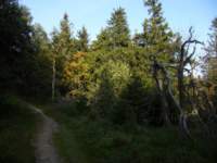 p1080187_small.jpg
