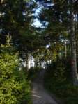 p1080193_small.jpg