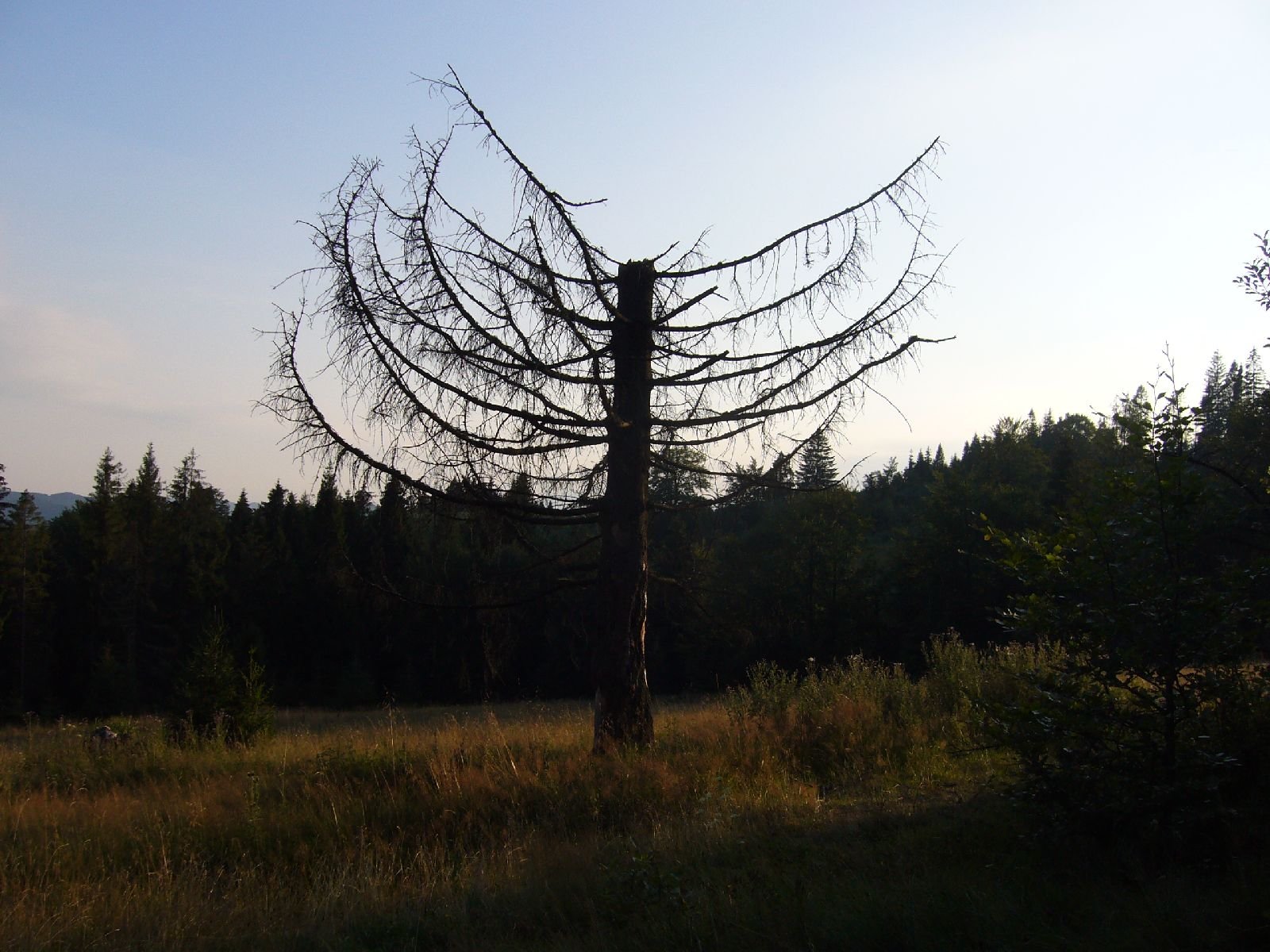 p1080213.jpg