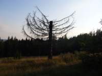 p1080213_small.jpg