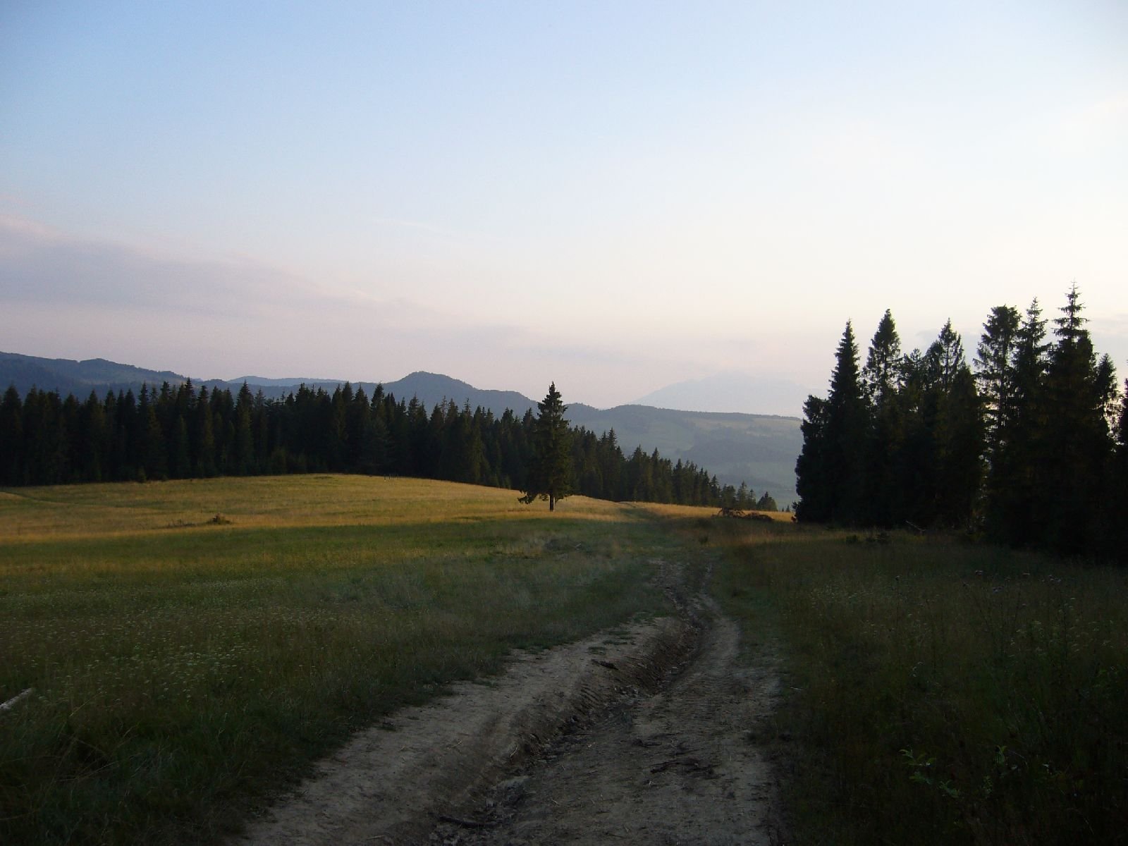 p1080228.jpg