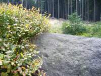 p1090066__small.jpg