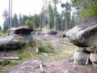 p1090078__small.jpg