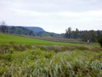 p1090127__small.jpg