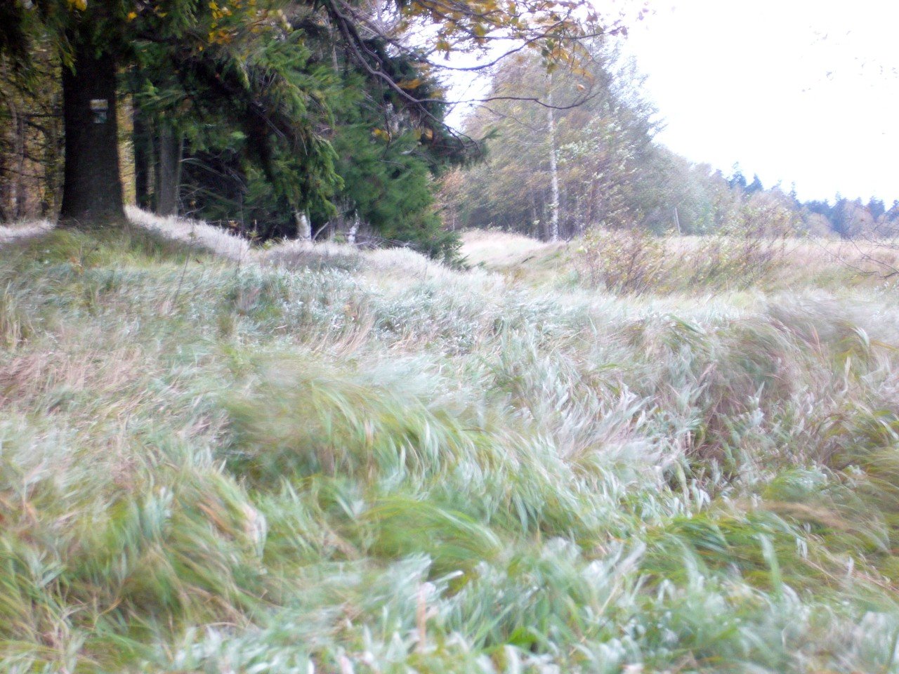 p1090128_.jpg