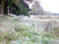 p1090128__small.jpg