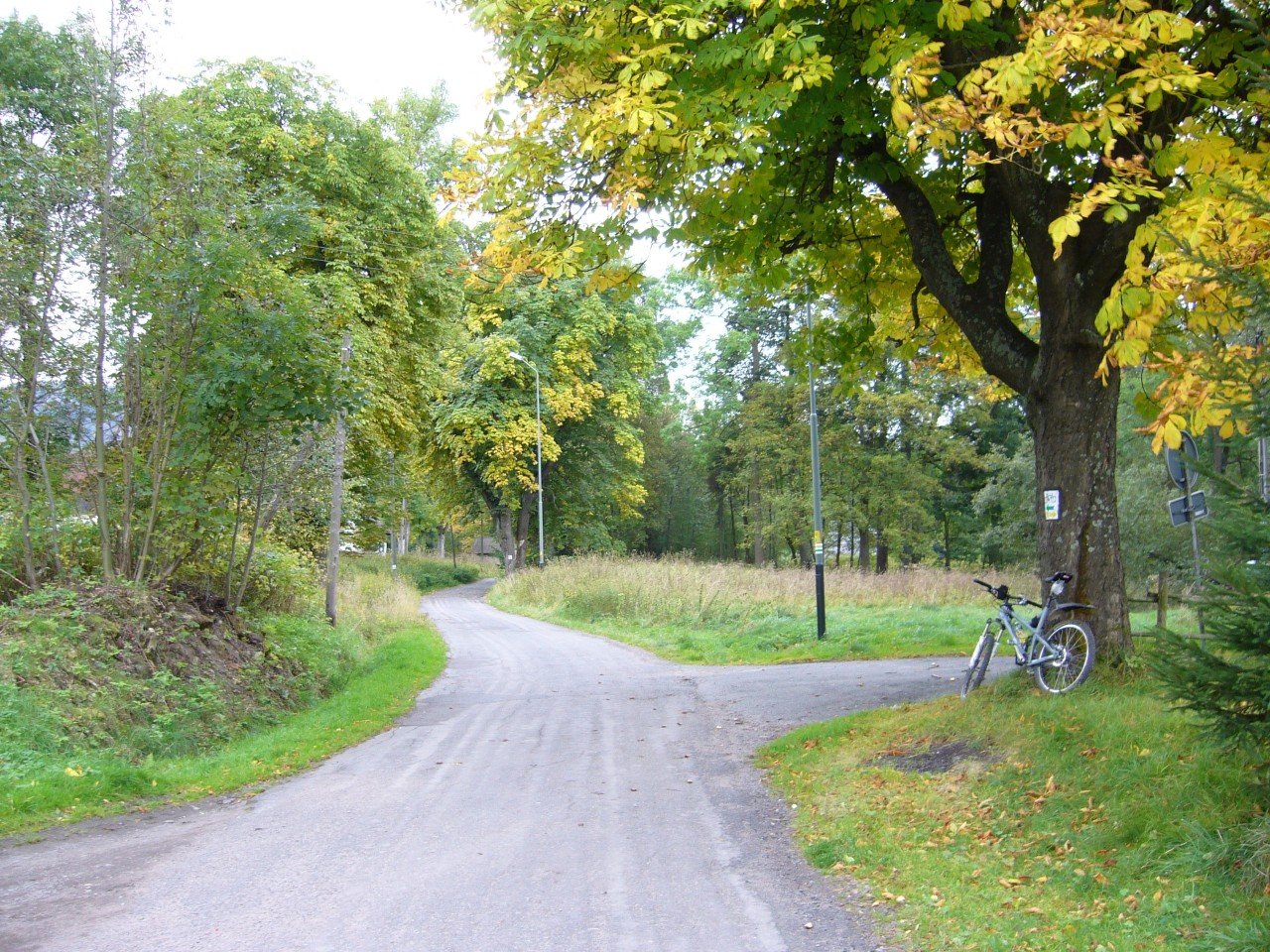 p1090153_.jpg