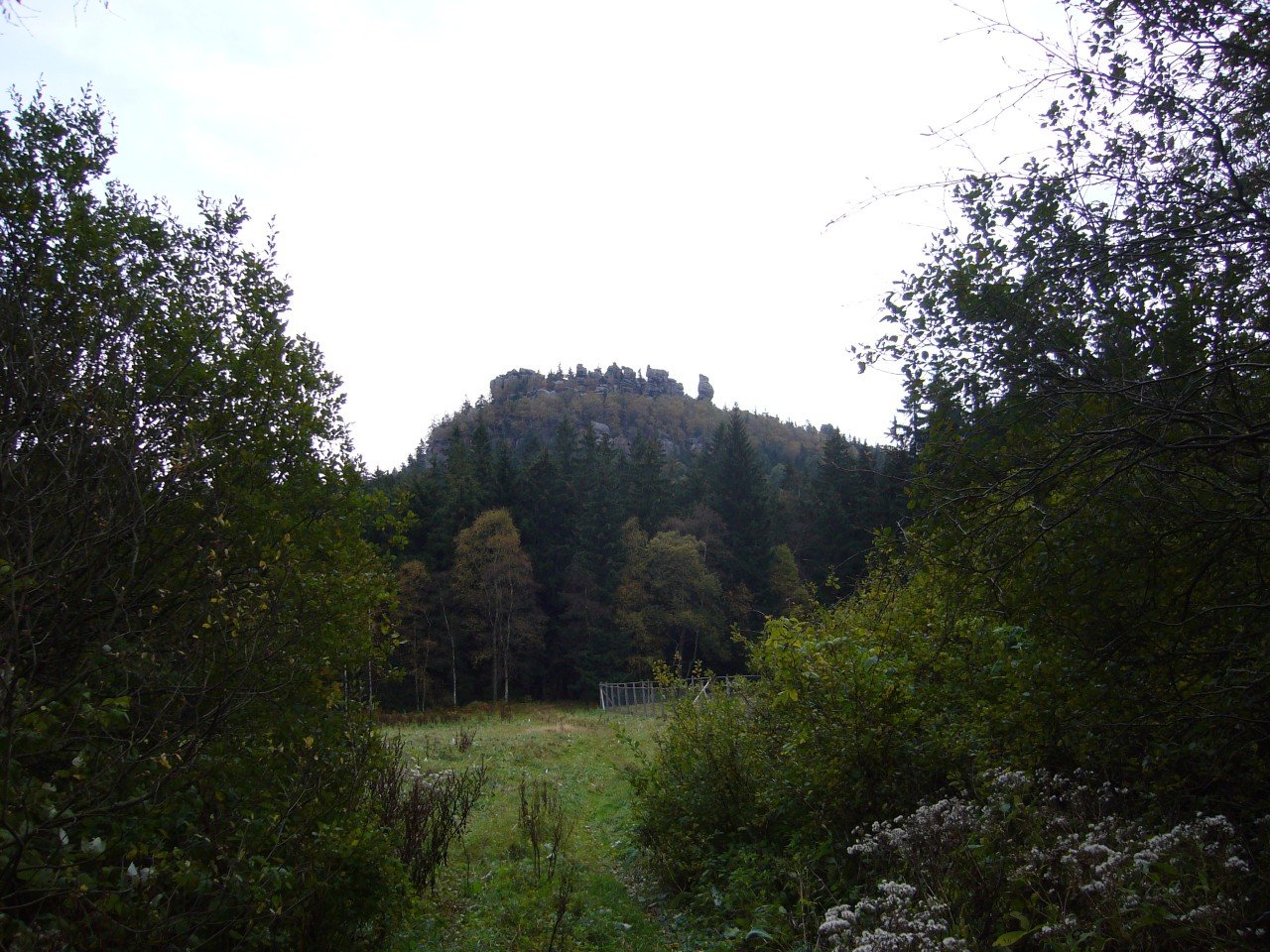p1090162.jpg