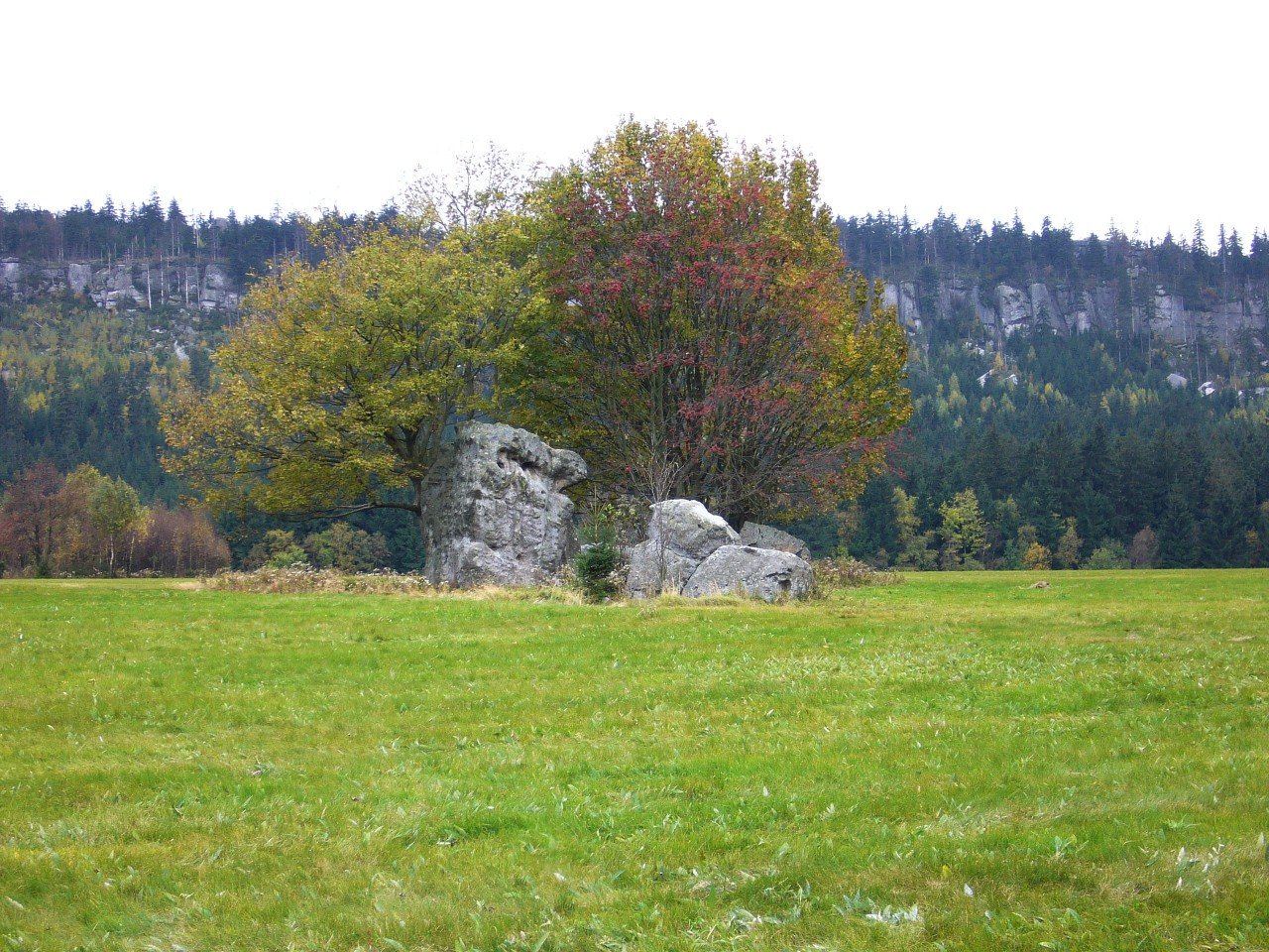 p1090165_.jpg