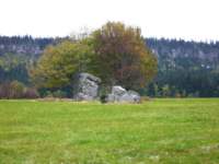 p1090165__small.jpg