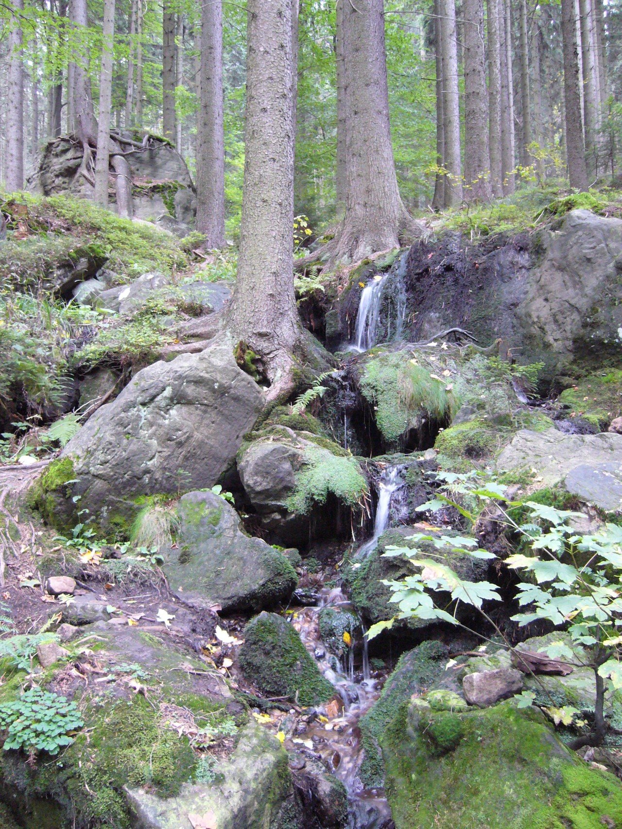 p1090172.jpg