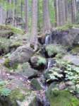 p1090172_small.jpg