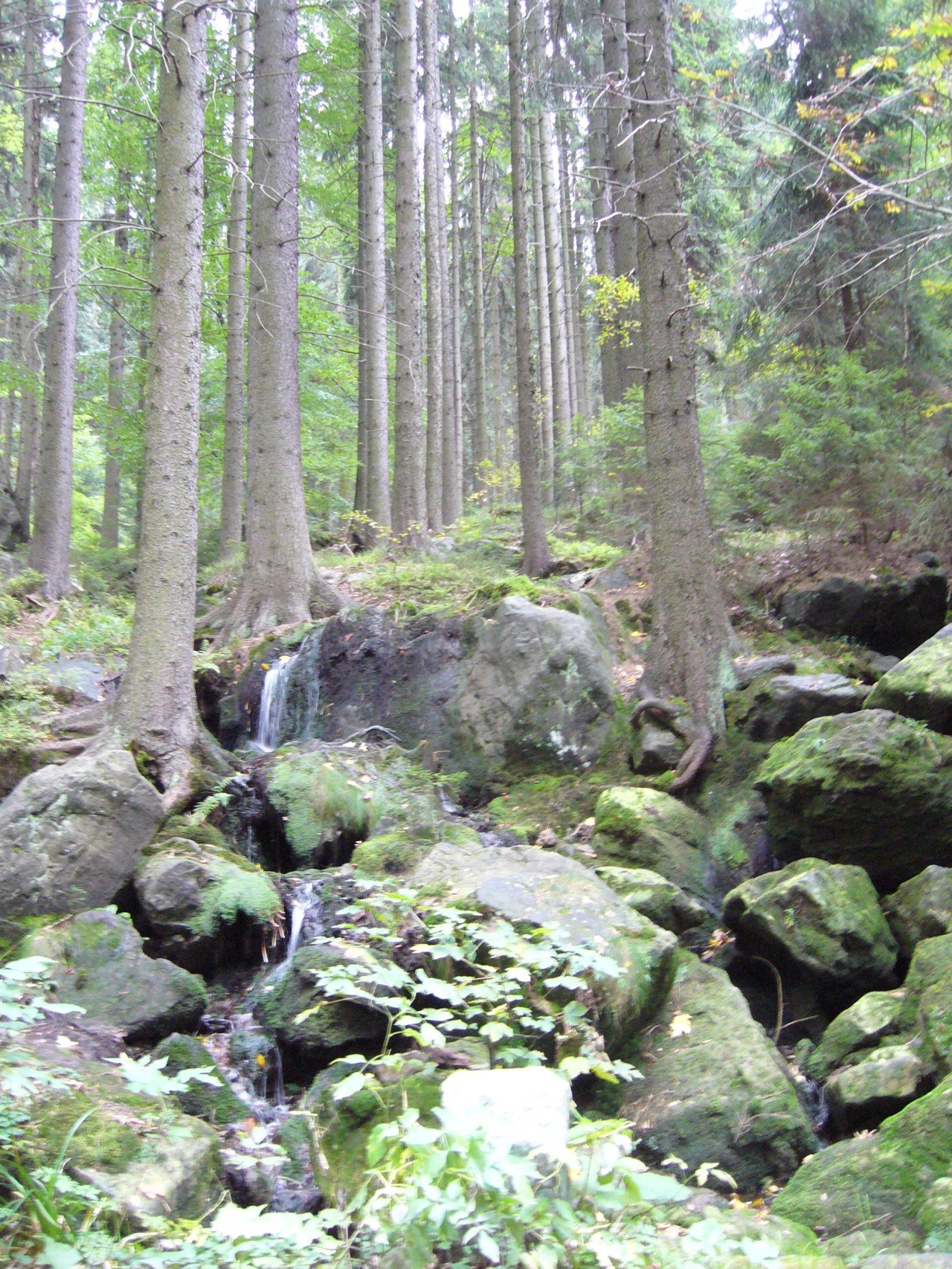 p1090176.jpg