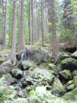 p1090176_small.jpg
