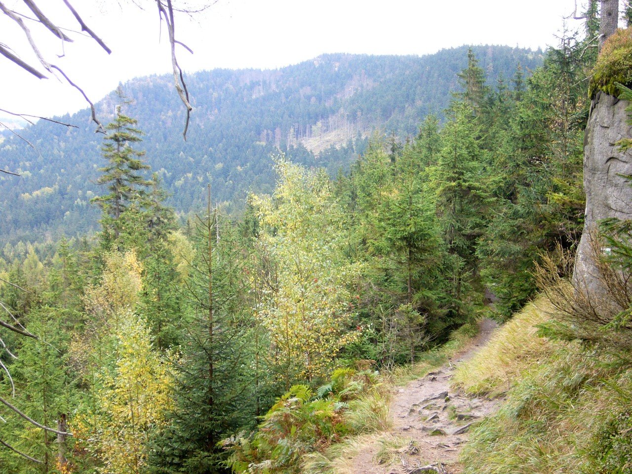 p1090201_.jpg