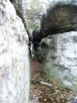 p1090241__small.jpg