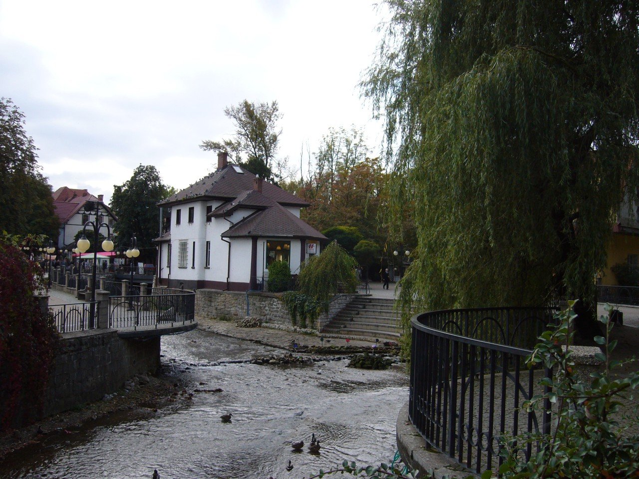p1090265.jpg
