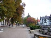 p1090266_small.jpg