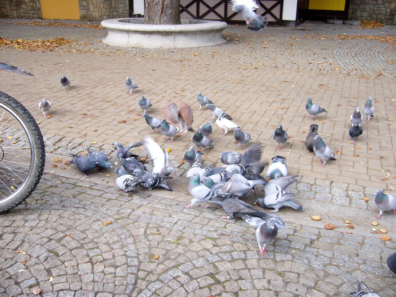 p1090278_.jpg