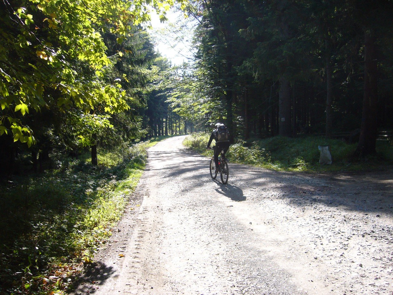 p1090295.jpg