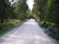 p1090296_small.jpg