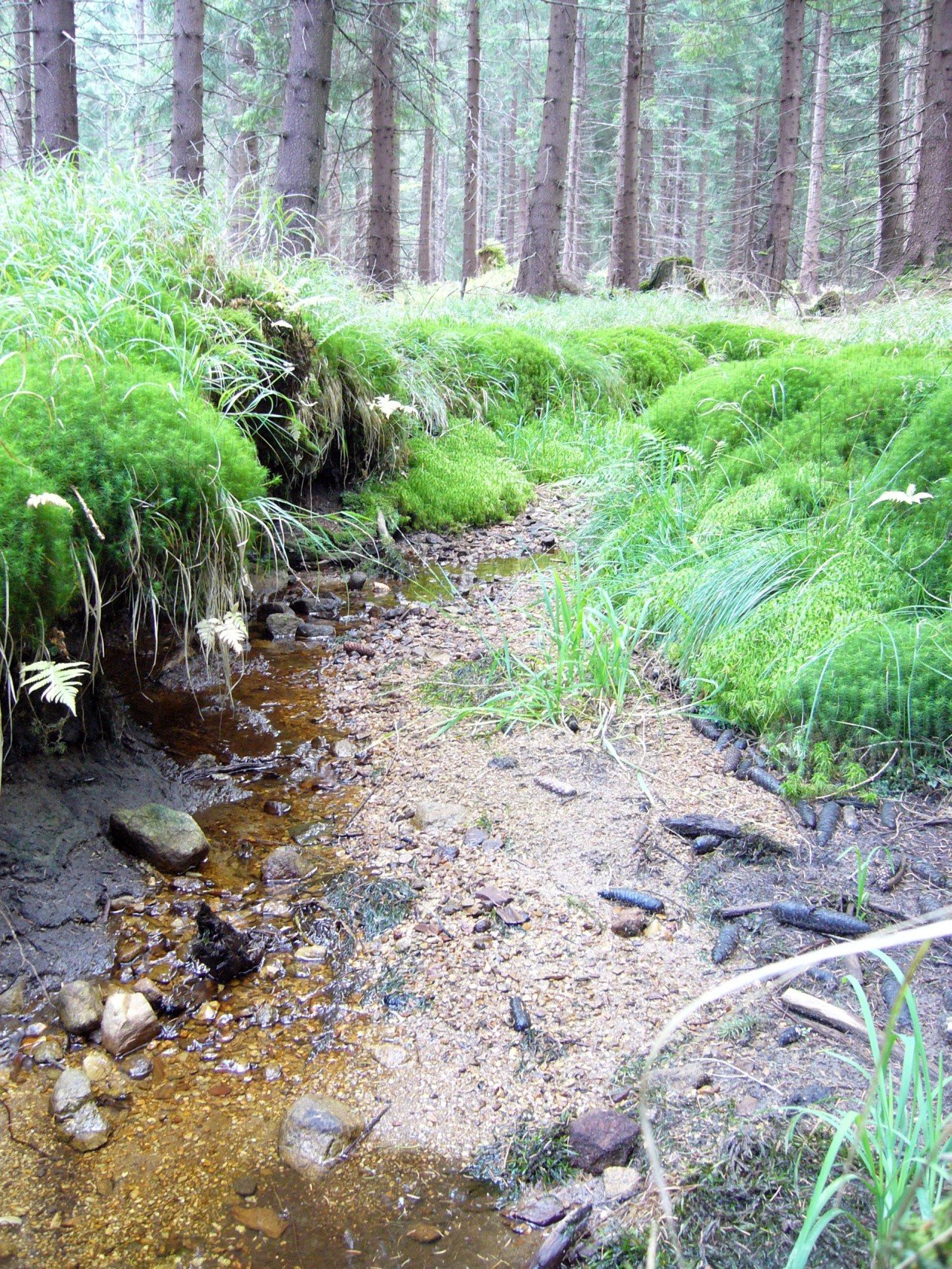 p1090300_.jpg